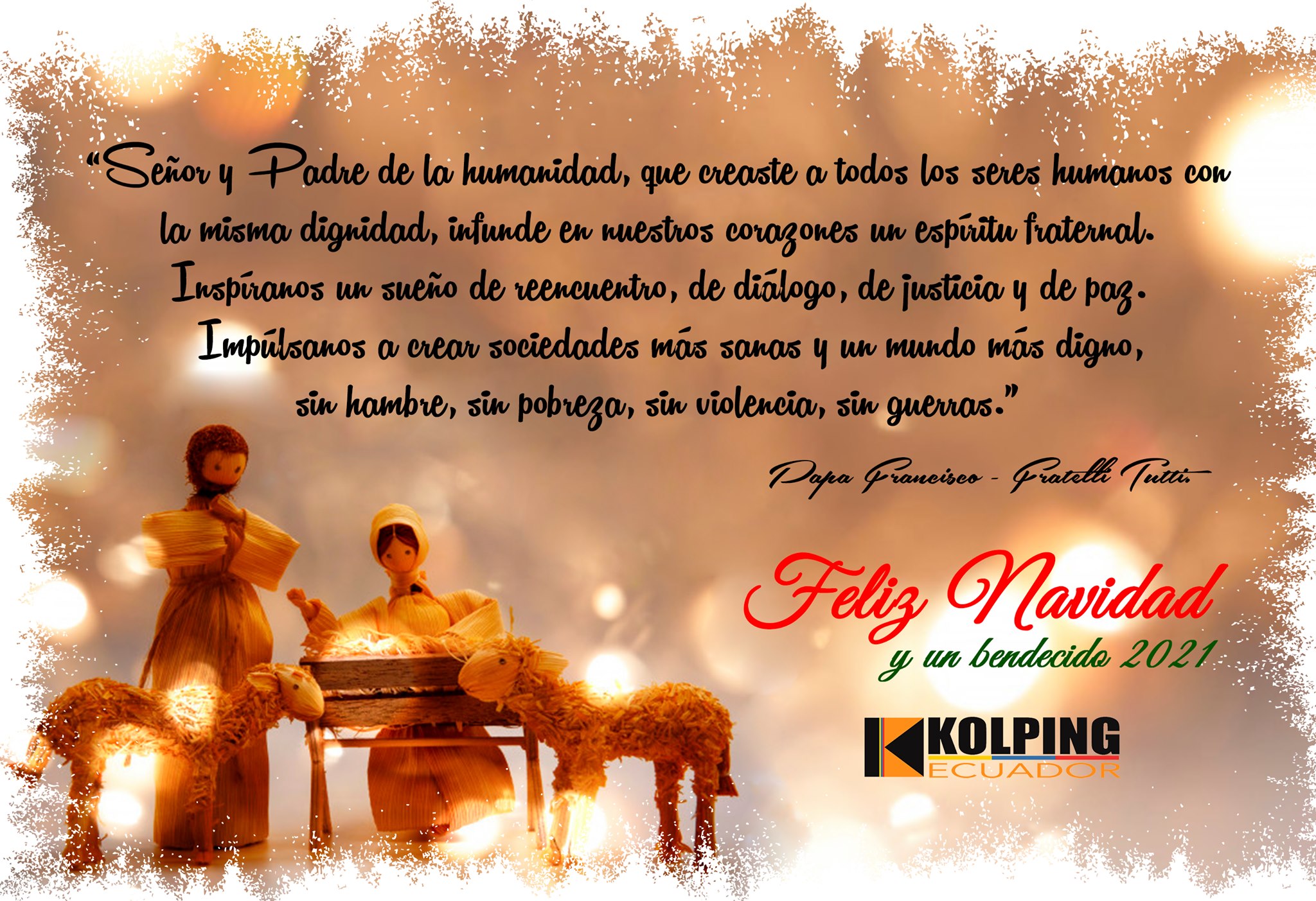 Odoo • Texto e imagen