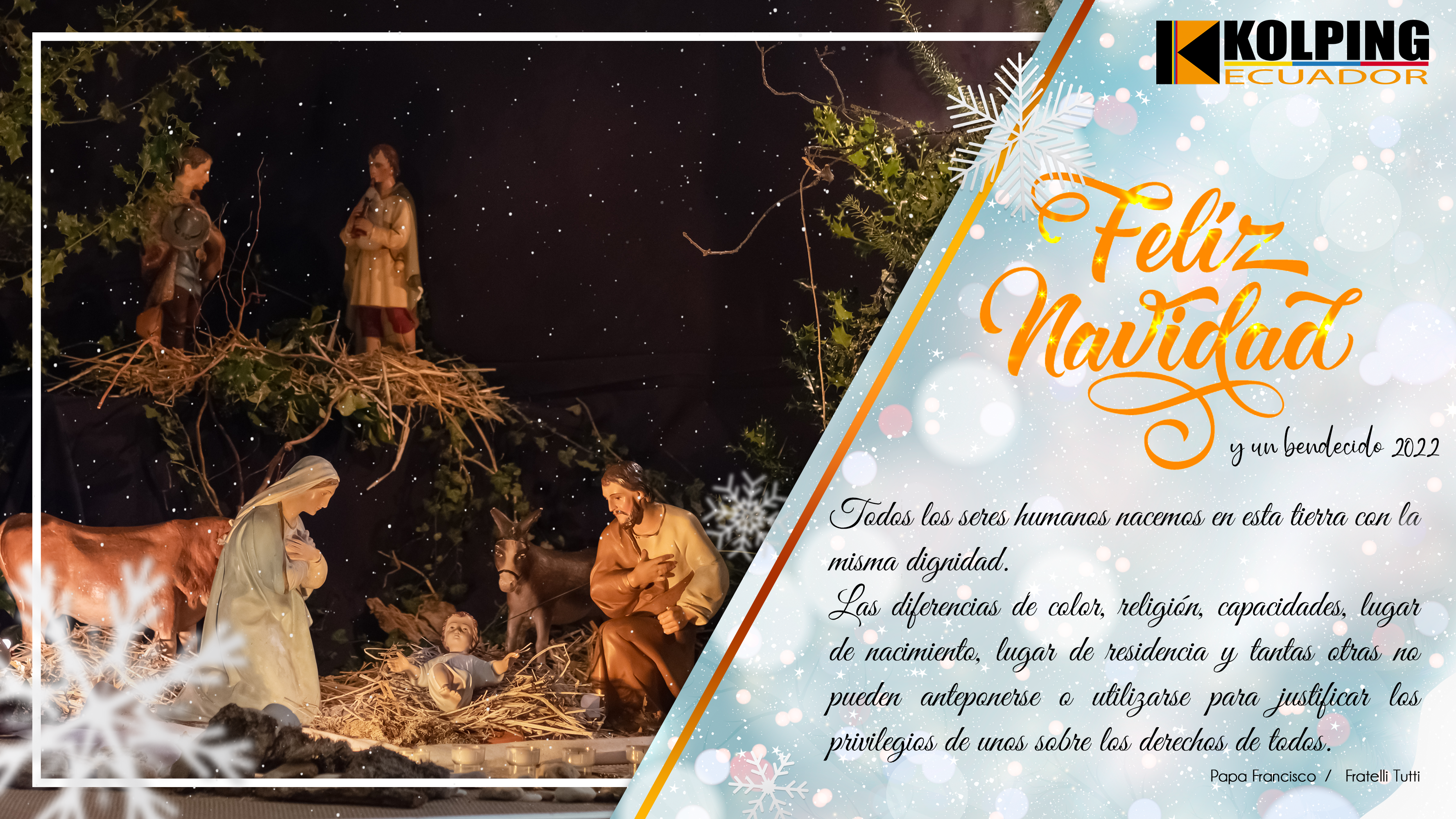 Odoo • Texto e imagen
